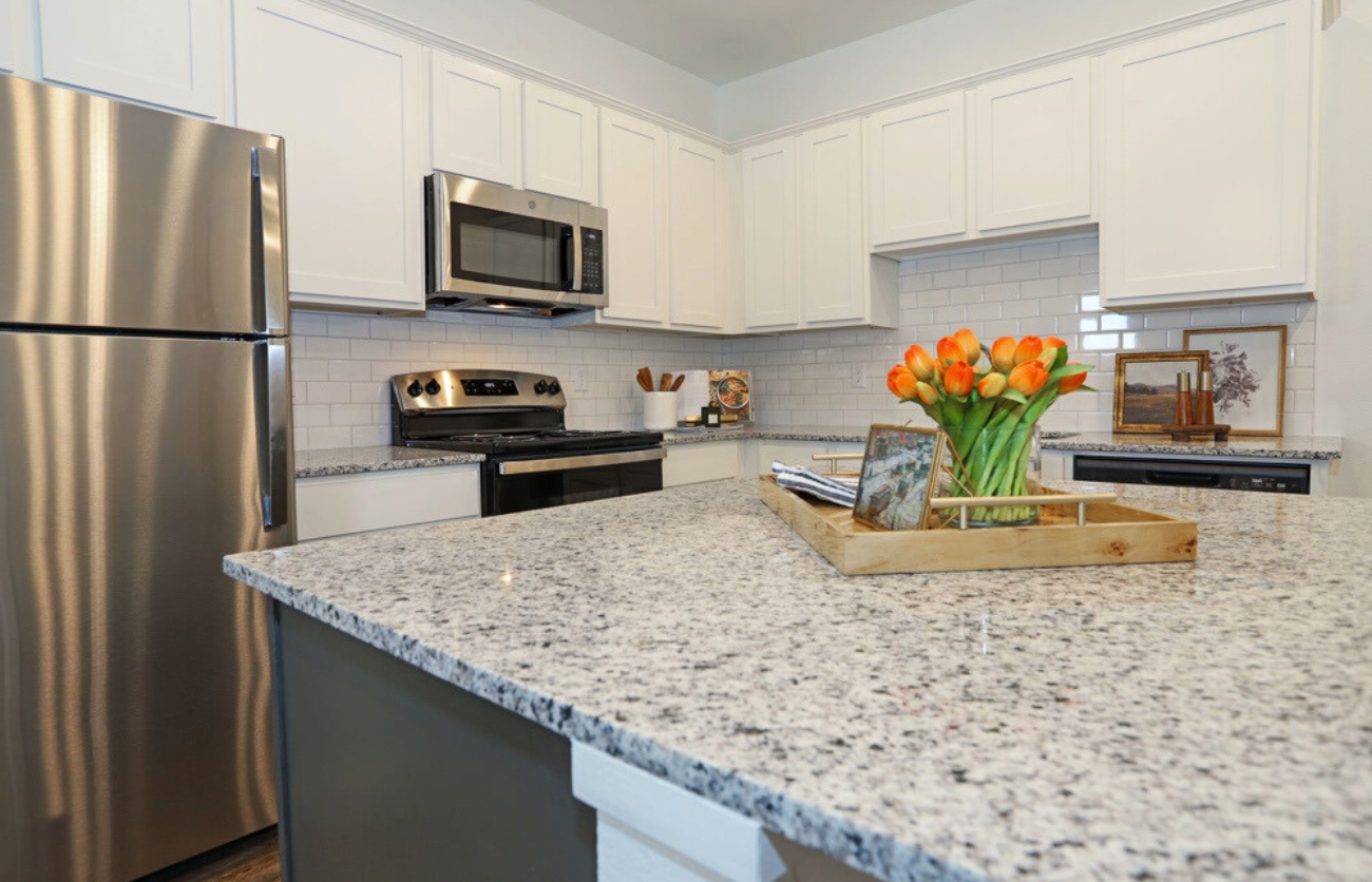 Contemporary apartment kitchen featuring stainless steel appliances and quartz countertops.